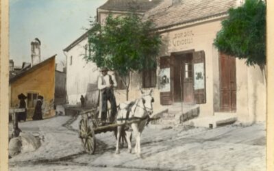 Letűnt váci alakok: a talyigás