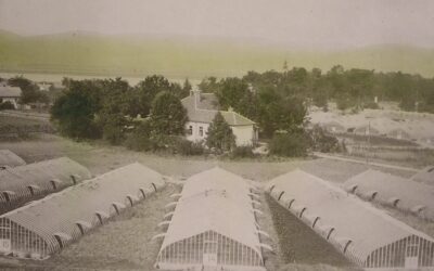 Vác 950 –  A 20. század szőlős tündérkertje