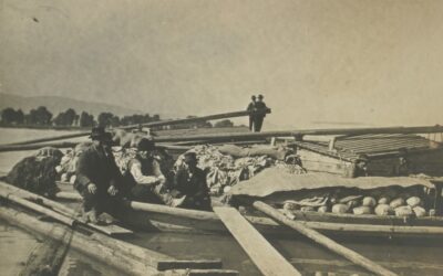 Vác 950 – Káposztavásár