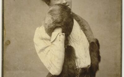 Vác 950 – Schubert Auguszta